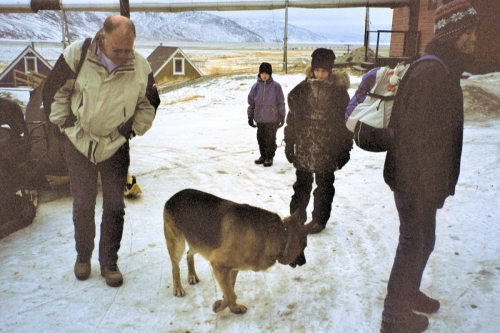 2003 marts Grønland (017)