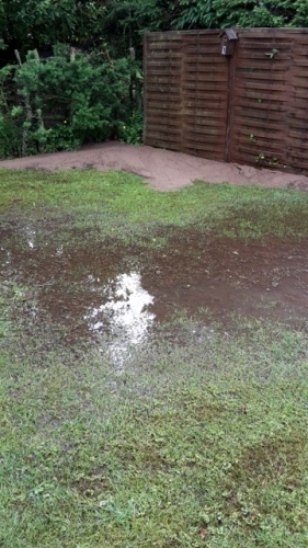 Haven var godt oversvømmet
